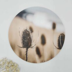 Muurcirkel dried naturel - Ø 20 cm - Dibond