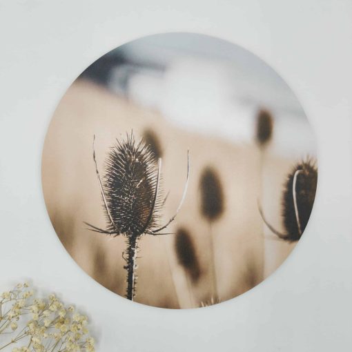 Muurcirkel dried naturel - Ø 20 cm - Dibond