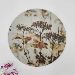 Muurcirkel droogbloem - Ø 20 cm - Dibond
