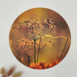 Muurcirkel Droogbloem oranje - Ø 20 cm