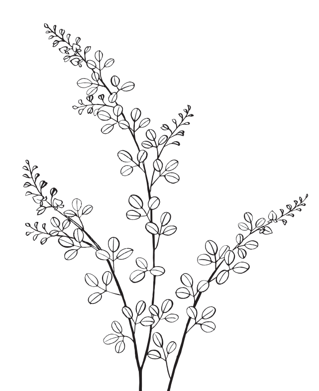 Bloem