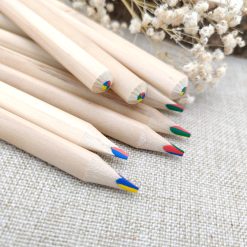 Regenboogpotlood met gravure - set van 10 stuks