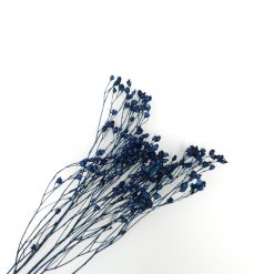 Broom bloom - blauw
