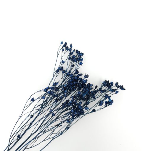 Broom bloom - blauw