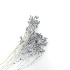 Broom bloom - grijs