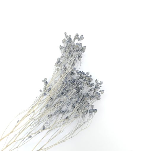 Broom bloom - grijs