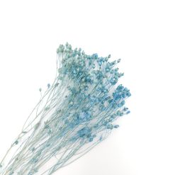 Broom bloom - lichtblauw