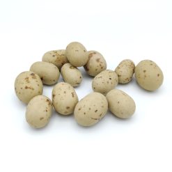 Cookie Choc's tortorra - PC