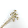 Glixia - goud
