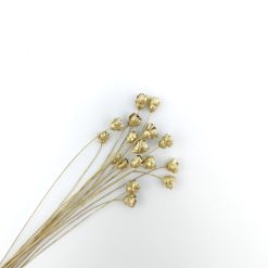 Glixia - goud