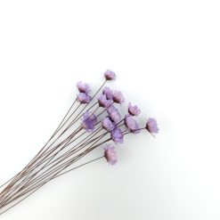Droogbloemen