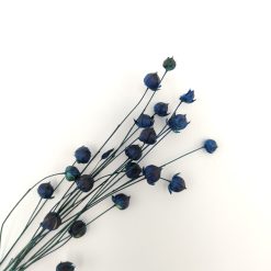 Linum vlas - blauw