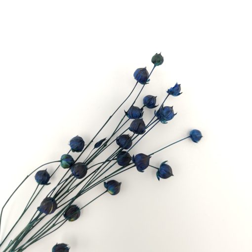 Linum vlas - blauw