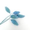 Phalaris - parisian blue