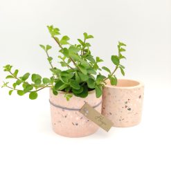 Terrazzo bloempotje - blush