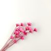 Glixia - fuchsia