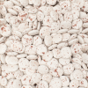 Lentilles rood marbré – De Bock – 1 KG