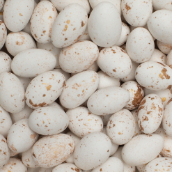 Crazy nuts goud marbré – De Bock - 900 gr (2)